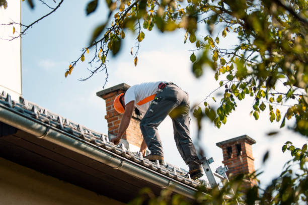 Best Shingle Roofing Installation  in Wyandotte, MI