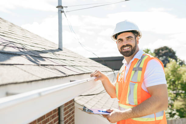 Best Local Roofing Companies  in Wyandotte, MI