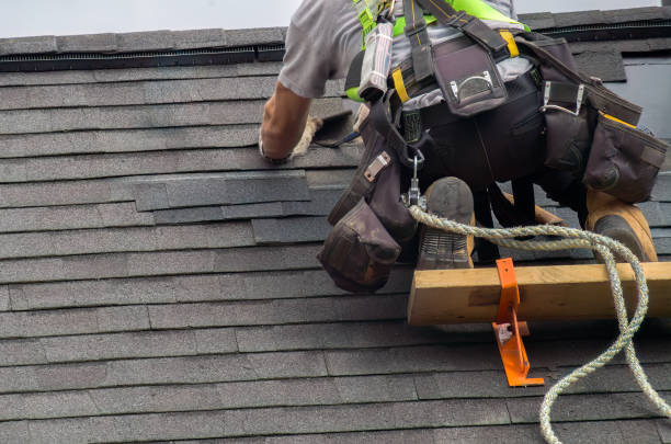 Best Roof Waterproofing Services  in Wyandotte, MI