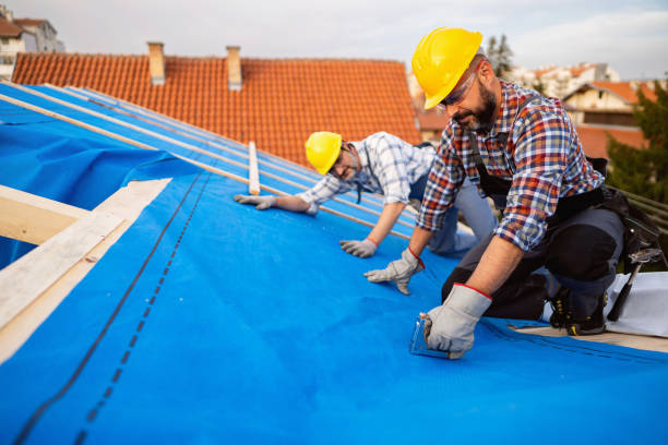 Best Roof Gutter Cleaning  in Wyandotte, MI