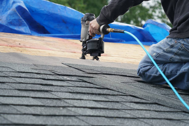 Roof Gutter Cleaning in Wyandotte, MI