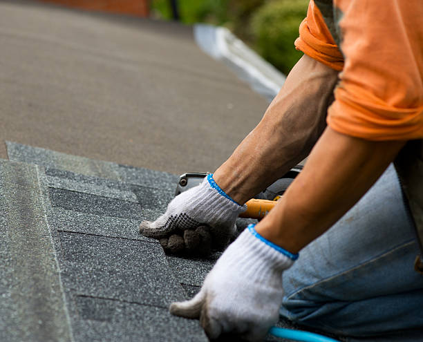 Best Roof Leak Repair  in Wyandotte, MI