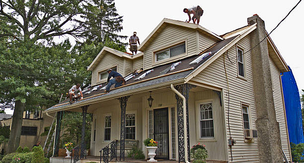 Best Affordable Roofing Company  in Wyandotte, MI
