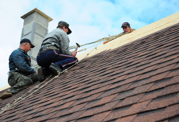 Best Residential Roofing Contractor  in Wyandotte, MI