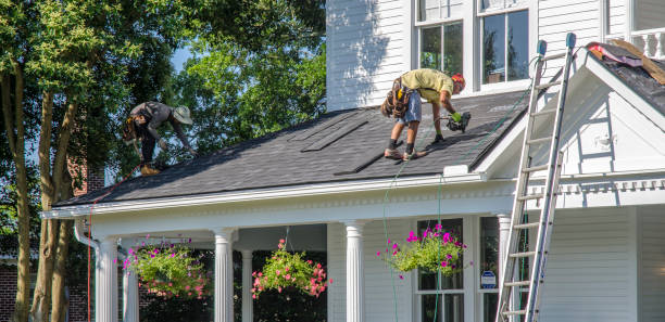 Best Roof Waterproofing Services  in Wyandotte, MI